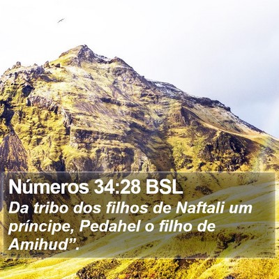 Números 34:28 BSL Bible Verse Image