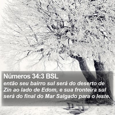 Números 34:3 BSL Bible Verse Image