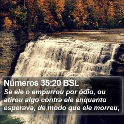 Números 35:20 BSL Bible Verse Image