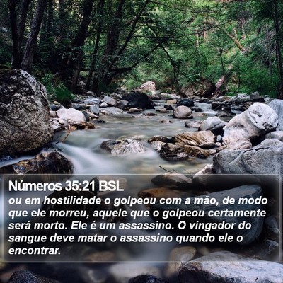 Números 35:21 BSL Bible Verse Image