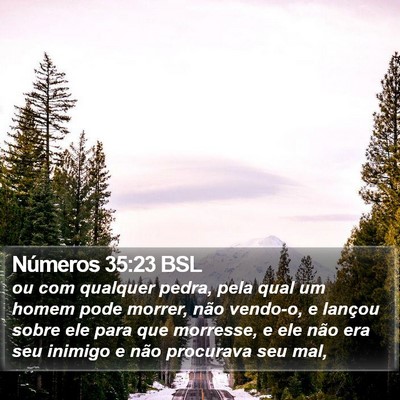 Números 35:23 BSL Bible Verse Image