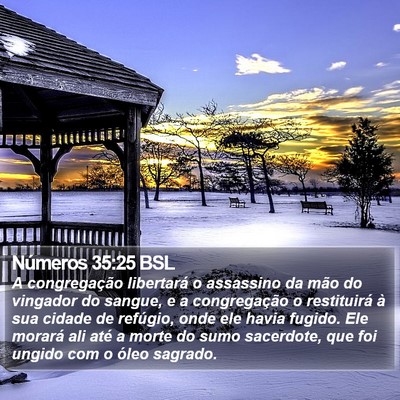 Números 35:25 BSL Bible Verse Image