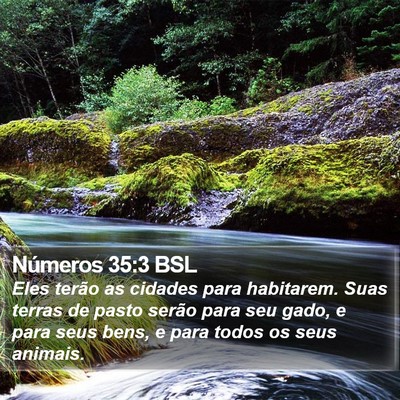 Números 35:3 BSL Bible Verse Image
