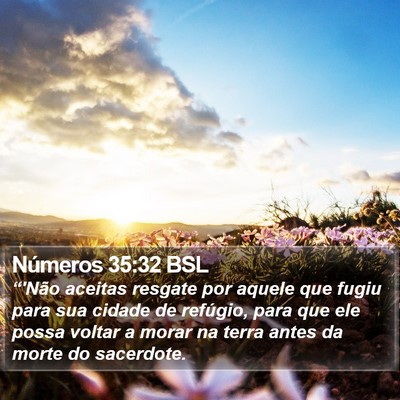 Números 35:32 BSL Bible Verse Image