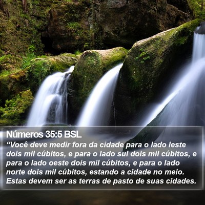 Números 35:5 BSL Bible Verse Image