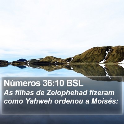Números 36:10 BSL Bible Verse Image