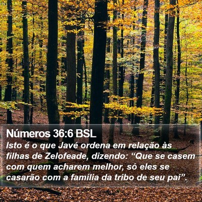 Números 36:6 BSL Bible Verse Image