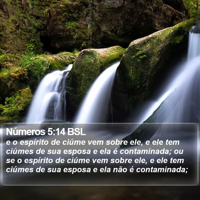 Números 5:14 BSL Bible Verse Image
