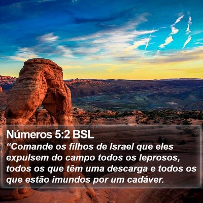 Números 5:2 BSL Bible Verse Image