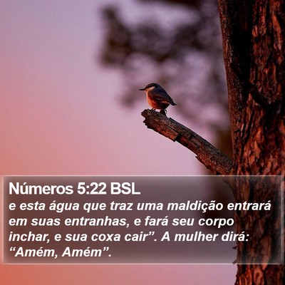 Números 5:22 BSL Bible Verse Image