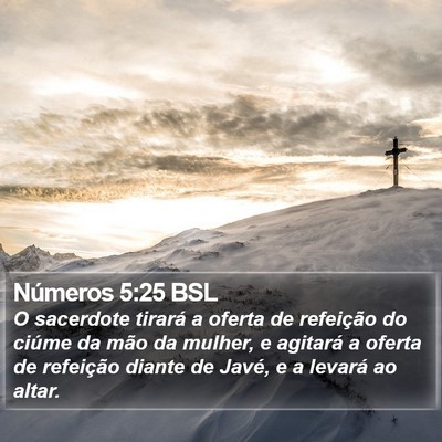 Números 5:25 BSL Bible Verse Image