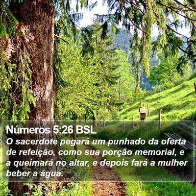 Números 5:26 BSL Bible Verse Image