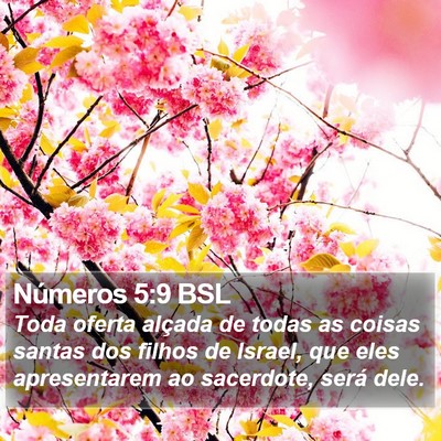 Números 5:9 BSL Bible Verse Image