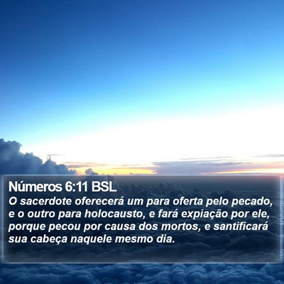 Números 6:11 BSL Bible Verse Image