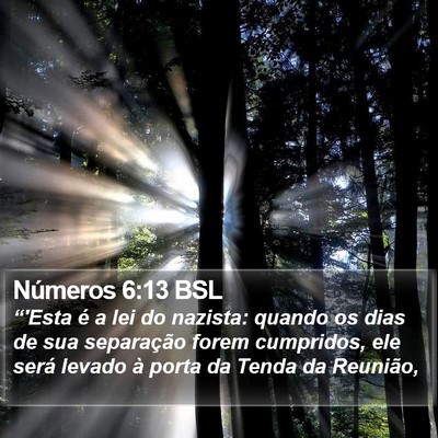 Números 6:13 BSL Bible Verse Image
