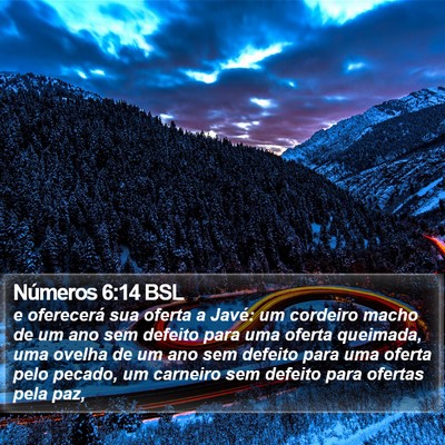 Números 6:14 BSL Bible Verse Image
