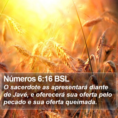 Números 6:16 BSL Bible Verse Image