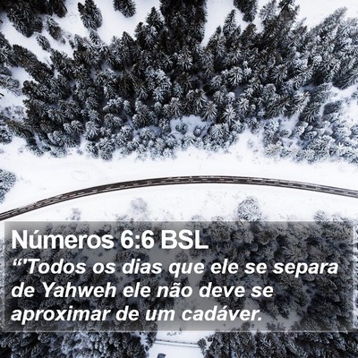 Números 6:6 BSL Bible Verse Image