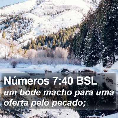 Números 7:40 BSL Bible Verse Image
