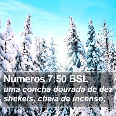 Números 7:50 BSL Bible Verse Image