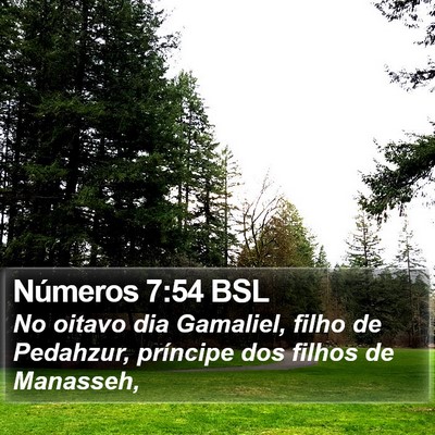 Números 7:54 BSL Bible Verse Image