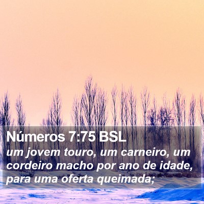 Números 7:75 BSL Bible Verse Image