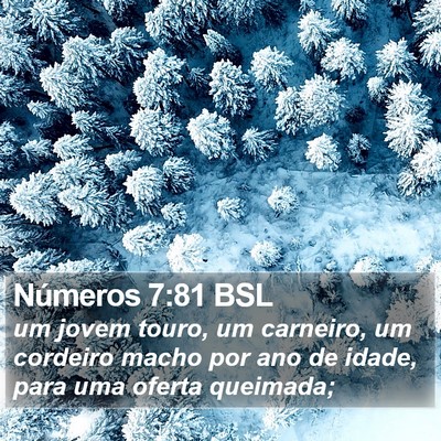 Números 7:81 BSL Bible Verse Image