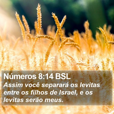 Números 8:14 BSL Bible Verse Image
