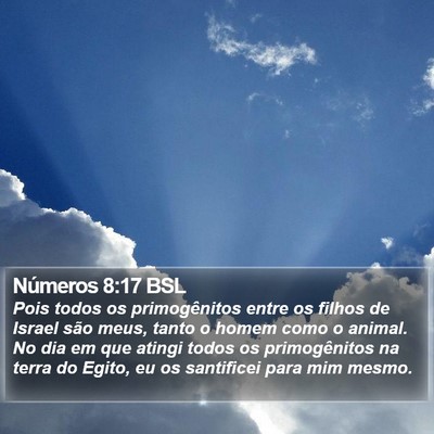 Números 8:17 BSL Bible Verse Image