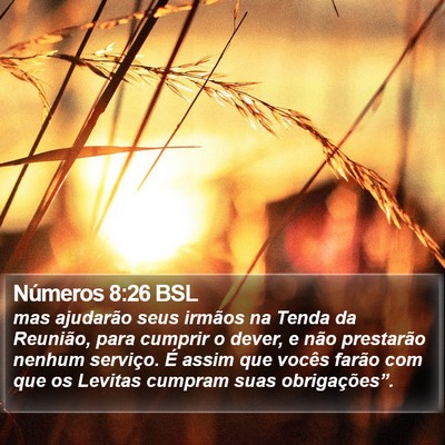 Números 8:26 BSL Bible Verse Image