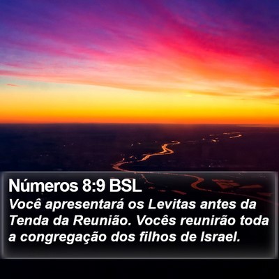 Números 8:9 BSL Bible Verse Image