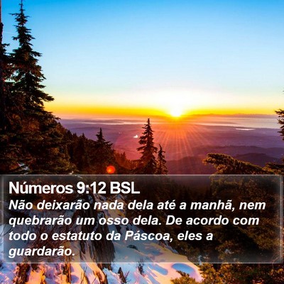 Números 9:12 BSL Bible Verse Image