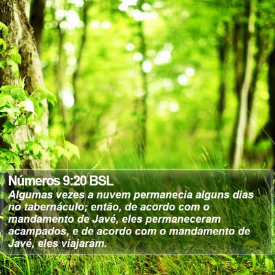 Números 9:20 BSL Bible Verse Image
