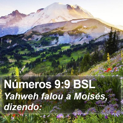 Números 9:9 BSL Bible Verse Image