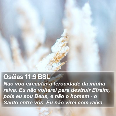 Oséias 11:9 BSL Bible Verse Image