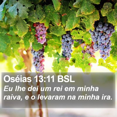 Oséias 13:11 BSL Bible Verse Image