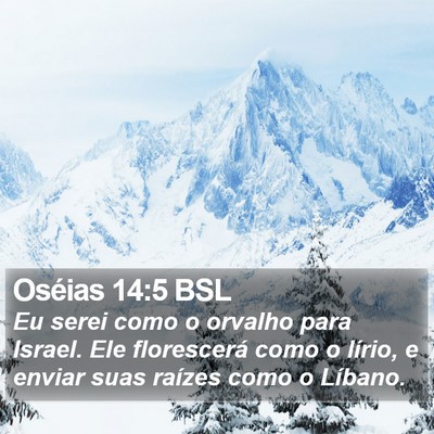 Oséias 14:5 BSL Bible Verse Image