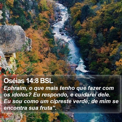 Oséias 14:8 BSL Bible Verse Image