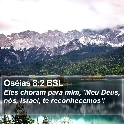 Oséias 8:2 BSL Bible Verse Image