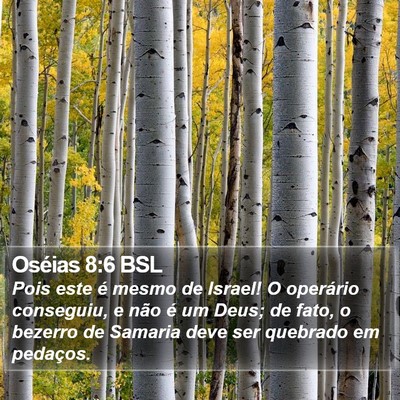 Oséias 8:6 BSL Bible Verse Image
