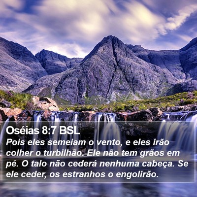 Oséias 8:7 BSL Bible Verse Image