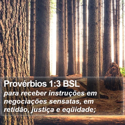 Provérbios 1:3 BSL Bible Verse Image