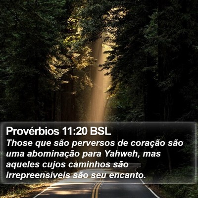 Provérbios 11:20 BSL Bible Verse Image
