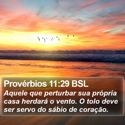 Provérbios 11:29 BSL Bible Verse Image