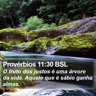Provérbios 11:30 BSL Bible Verse Image