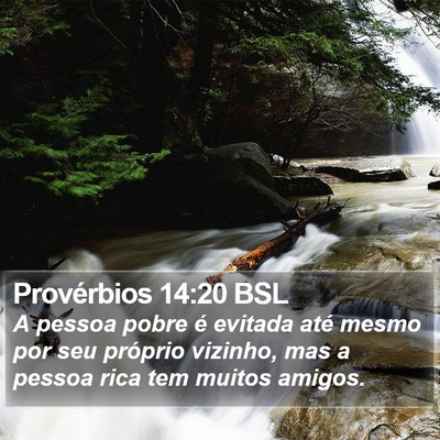 Provérbios 14:20 BSL Bible Verse Image