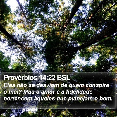 Provérbios 14:22 BSL Bible Verse Image