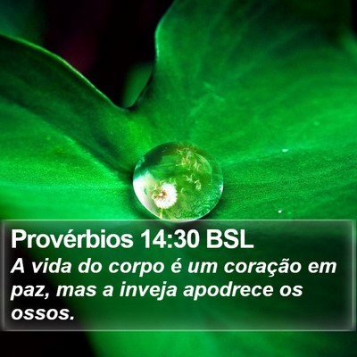 Provérbios 14:30 BSL Bible Verse Image