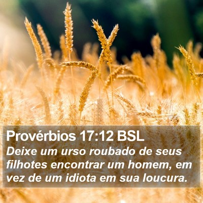 Provérbios 17:12 BSL Bible Verse Image