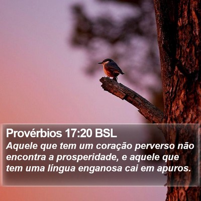 Provérbios 17:20 BSL Bible Verse Image